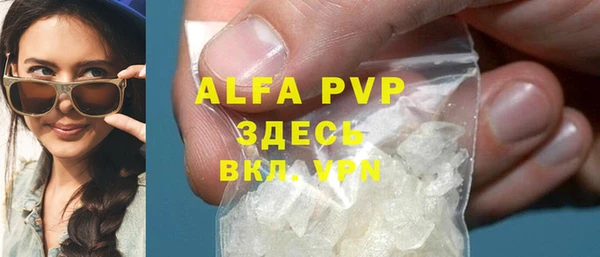 сатива Гусиноозёрск
