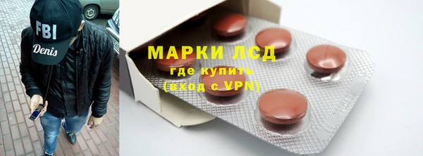 сатива Гусиноозёрск