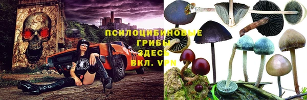 2c-b Надым