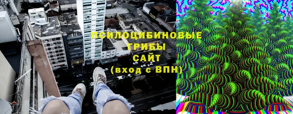 кристаллы Гусев