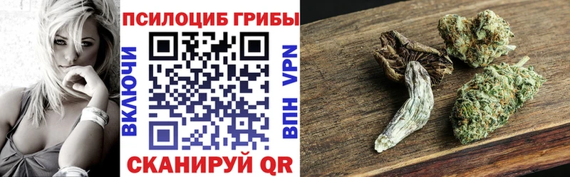 Псилоцибиновые грибы Cubensis  Мамадыш 